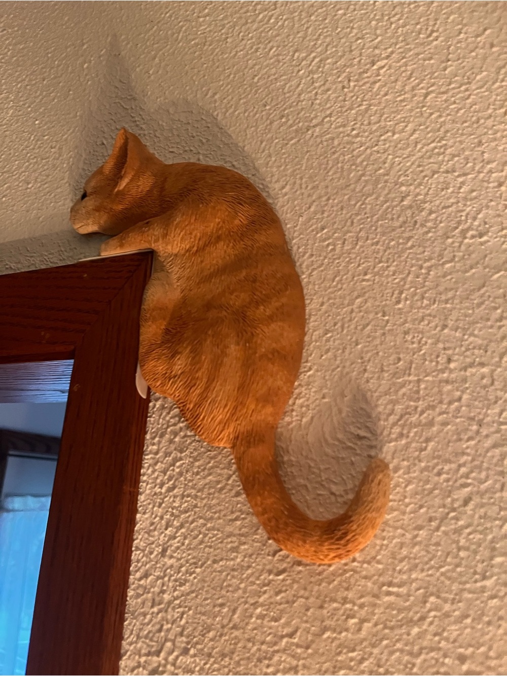 Doorway Cat Display - Like New!